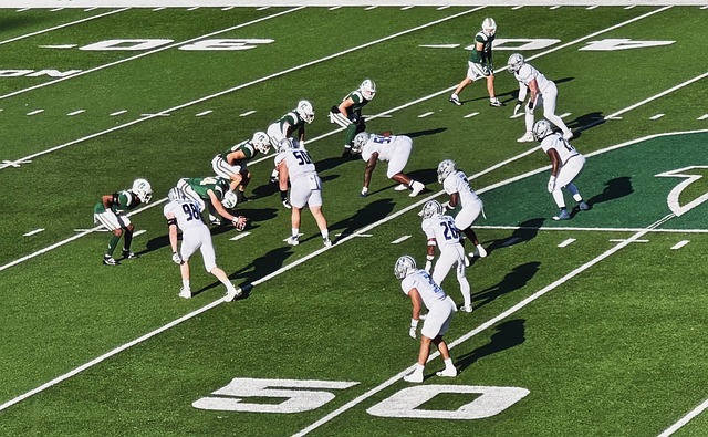 个人职业素 个人职业素