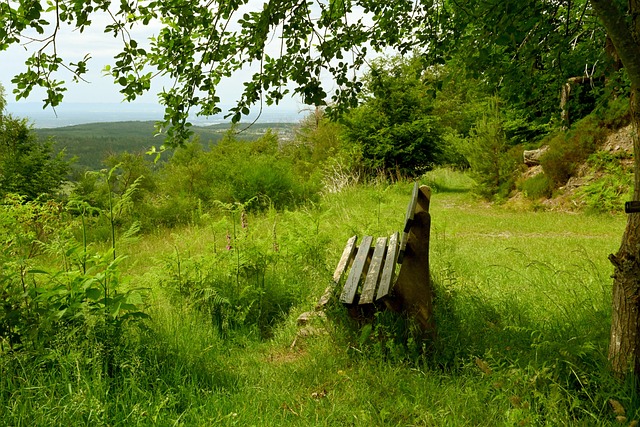 线进攻方面 线进攻方面