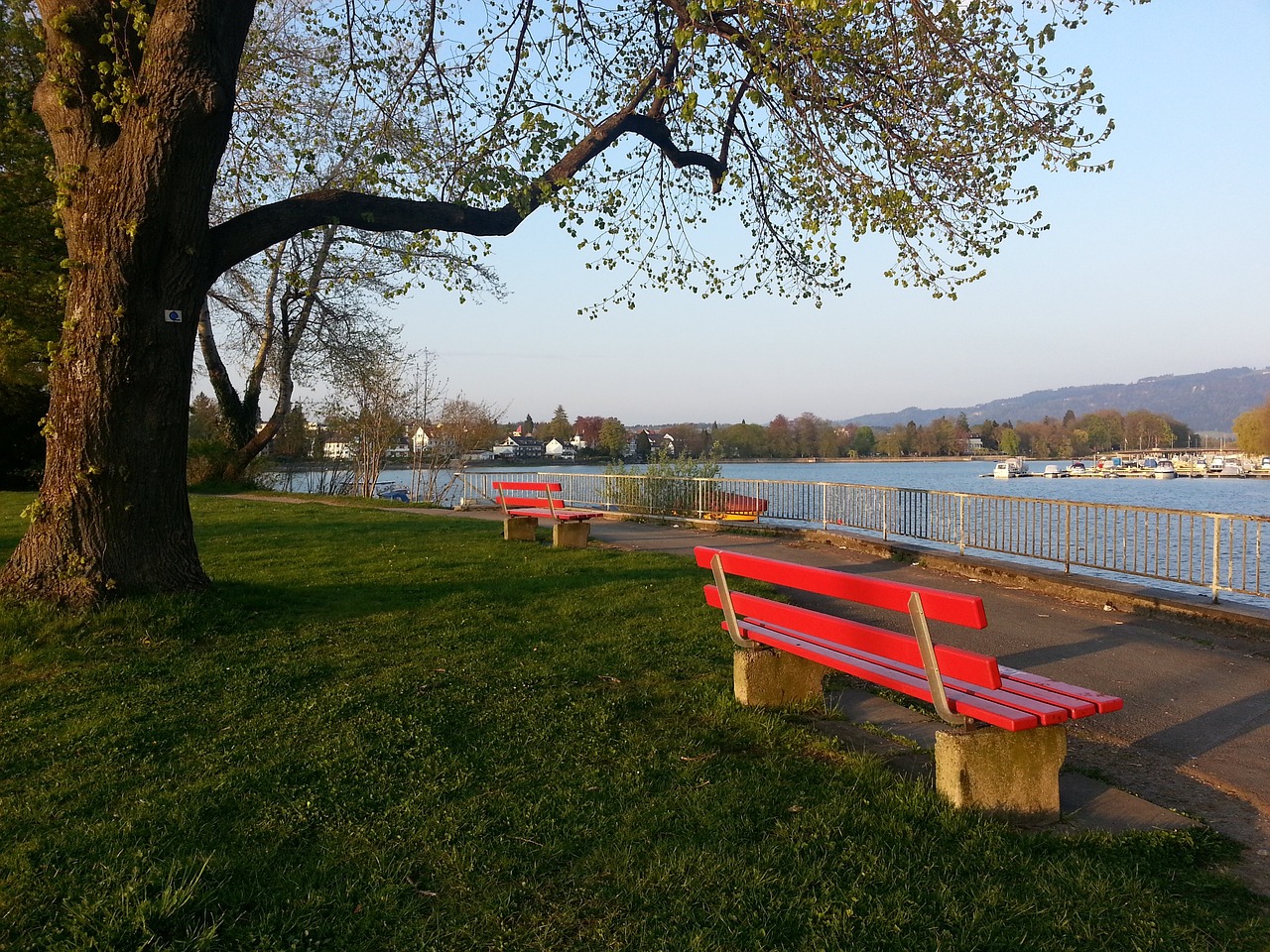 仁慕尼黑队 仁慕尼黑队