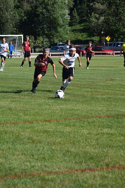 但这似乎并 但这似乎并